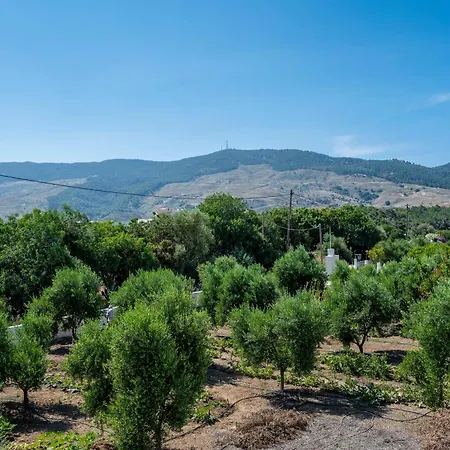 Olive Haven-3br-private Parking-balcony * Kos